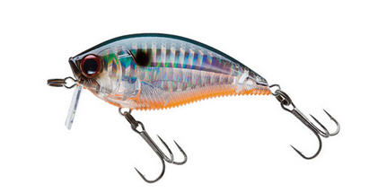 Artificiale YO-ZURI 3DB Wake Bait 70 mm 16 gr F/Gall. PTSH