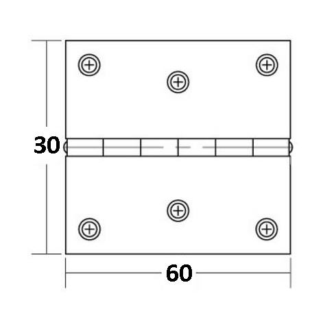 Cerniera Inox 60x30 mm