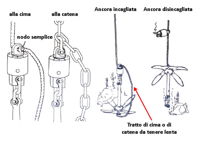 Salva Ancora fino 8 kg